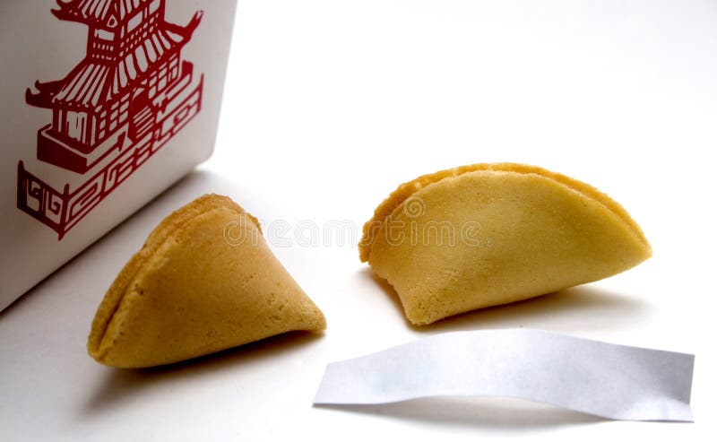 A Photographers Dinner - A Chinese takeout filled with egg fried rice and a fortune cookie with a blank fortune. A Photographers Dinner - A Chinese takeout filled with egg fried rice and a fortune cookie with a blank fortune