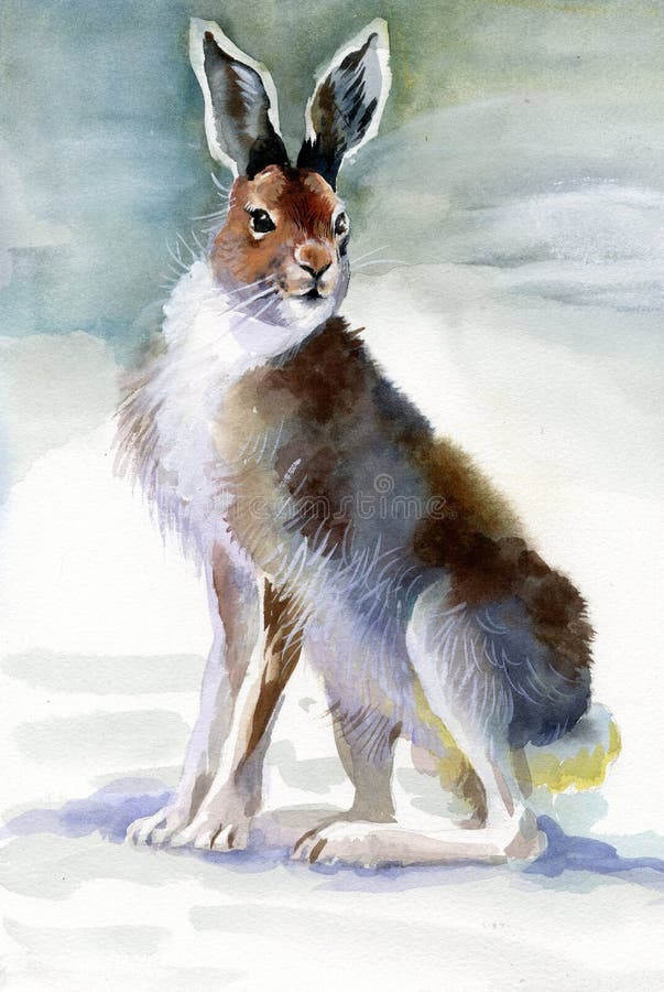 Het konijn van de winter stock illustratie Het konijn van de winter stock illustratie