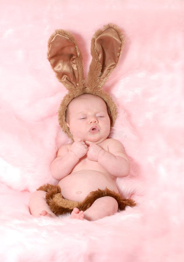 Het konijntje van de baby royalty-vrije stock foto's Het konijntje van de baby royalty-vrije stock foto's