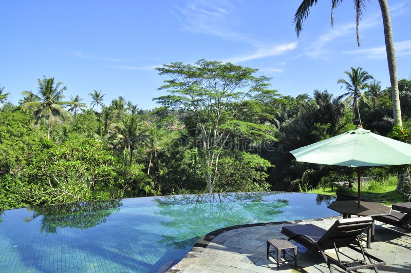 Het kuuroord zwembad van de luxeterugtocht in het midden van tropische het meest forrest