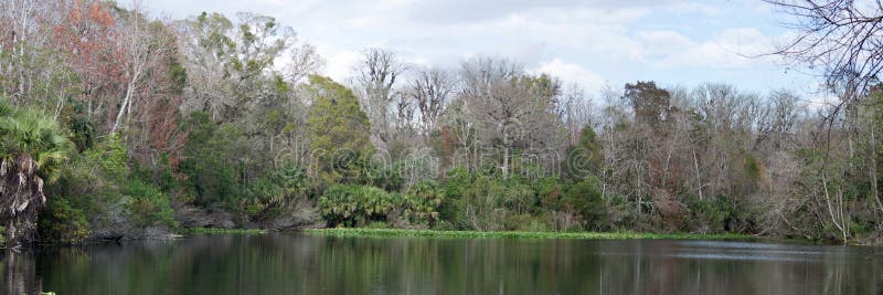 Lower Wekiva River Preserve State Park is an 18,000-acre (7,300 ha) Florida State Park located on six miles (10 km) of the St. Johns River in Lake and Seminole counties. The park forms a wildlife corridor to the Ocala National Forest along the Wekiva and St. Johns Rivers. There are two sections to the park, north and south. The northern section's entrance is in Pine Lakes, off S.R. 44. This entrance leads to the multiuse trails, primitive horse camping and backpack camping areas. The entrance to the southern section, off S.R. 46 nine miles (14 km) west of Sanford, provides access to 5,000 acres (2,000 ha) of the park. Lower Wekiva River Preserve State Park is an 18,000-acre (7,300 ha) Florida State Park located on six miles (10 km) of the St. Johns River in Lake and Seminole counties. The park forms a wildlife corridor to the Ocala National Forest along the Wekiva and St. Johns Rivers. There are two sections to the park, north and south. The northern section's entrance is in Pine Lakes, off S.R. 44. This entrance leads to the multiuse trails, primitive horse camping and backpack camping areas. The entrance to the southern section, off S.R. 46 nine miles (14 km) west of Sanford, provides access to 5,000 acres (2,000 ha) of the park.