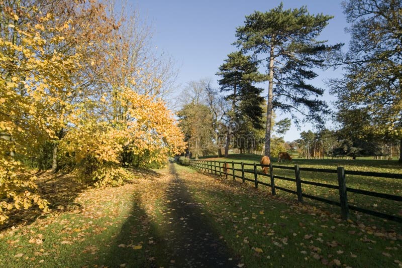 Country estate fields trees autumn. Country estate fields trees autumn