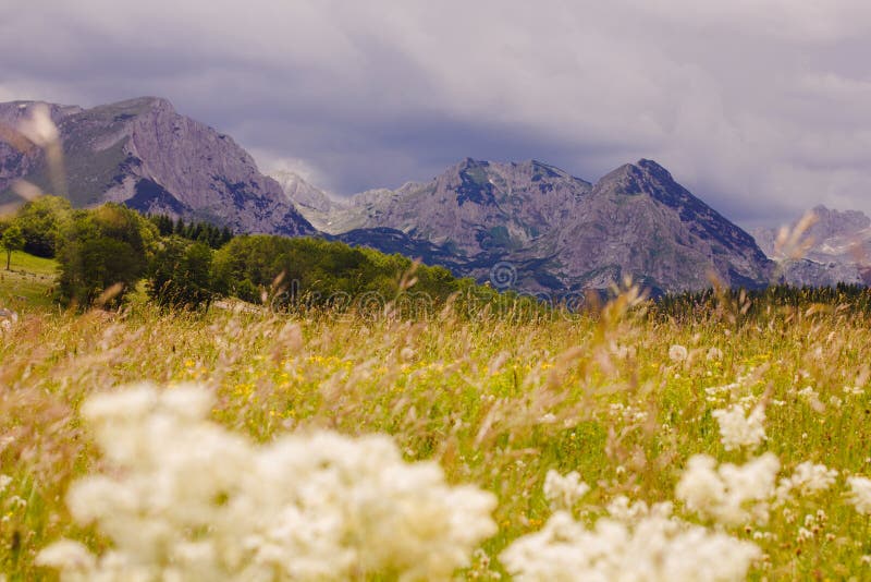 Het Landschap Montenegro van de aardberg stock foto Het Landschap Montenegro van de aardberg stock foto