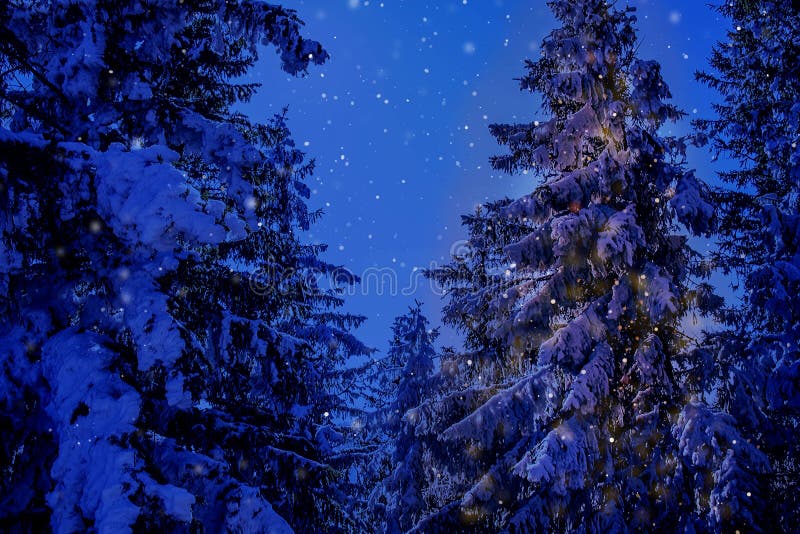 Het landschap van de Kerstmisberg van het de wintersprookjesland met eeuw-oude sparren en pijnboom in de Oostenrijkse Alpen in na stock foto Het landschap van de Kerstmisberg van het de wintersprookjesland met eeuw-oude sparren en pijnboom in de Oostenrijkse Alpen in na stock foto