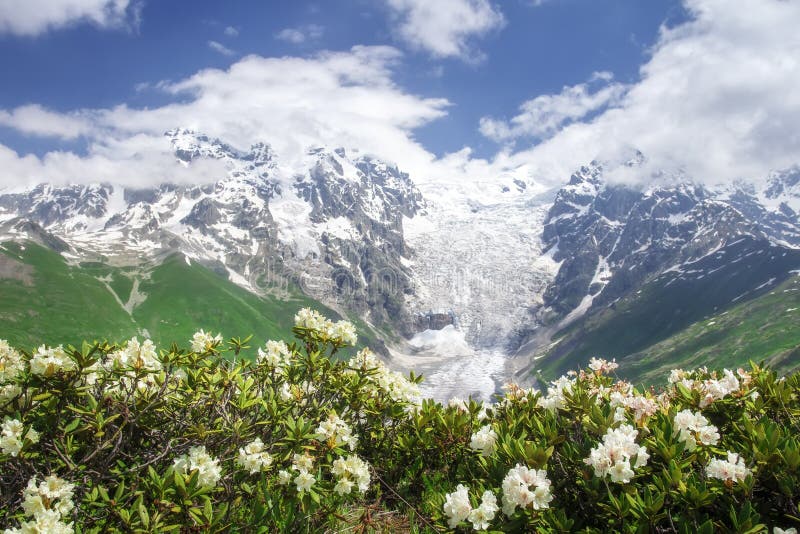 Het landschap van de Svanetiaard op de zomerdag met blauwe hemel en witte bloemen Sneeuwpieken van Rocky Mountains royalty-vrije stock foto Het landschap van de Svanetiaard op de zomerdag met blauwe hemel en witte bloemen Sneeuwpieken van Rocky Mountains royalty-vrije stock foto