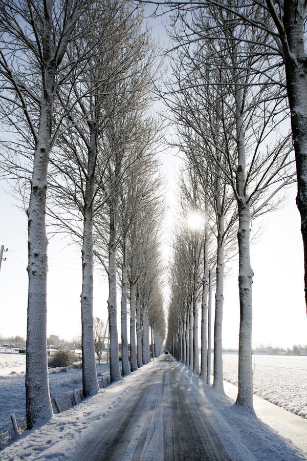 Winterlandschap royalty-vrije stock afbeelding