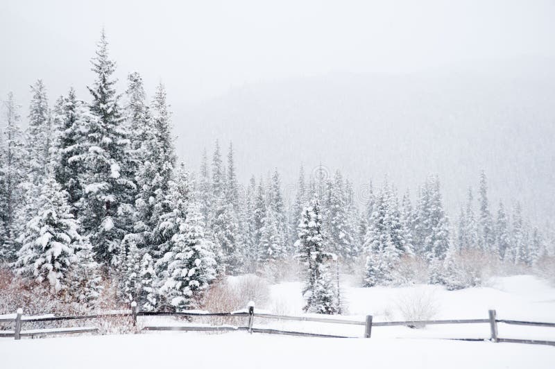 Winterlandschap royalty-vrije stock fotografie