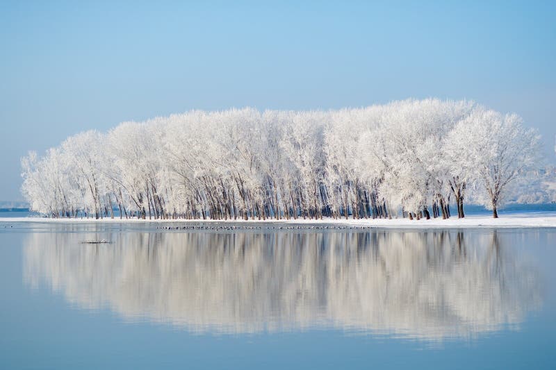 Winterlandschap stock foto