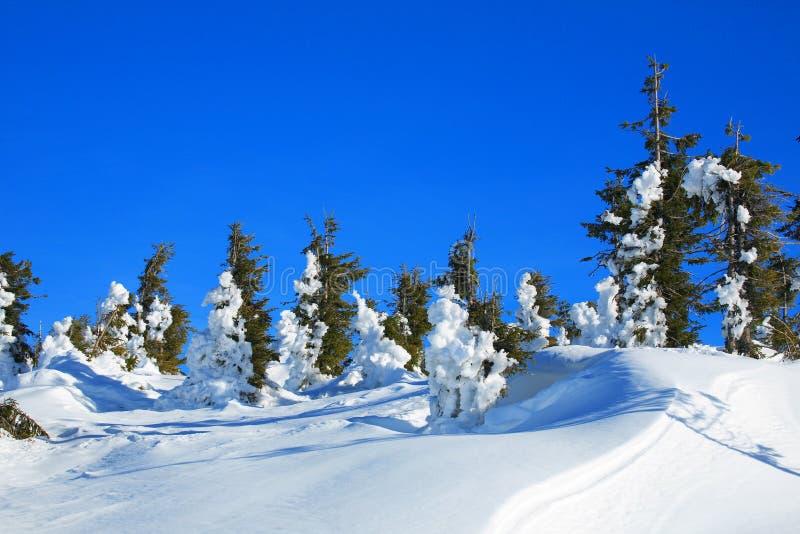 Winterlandschap royalty-vrije stock afbeeldingen