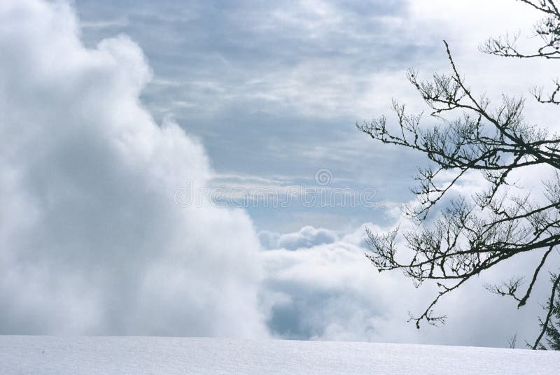 Winterlandschap royalty-vrije stock afbeeldingen