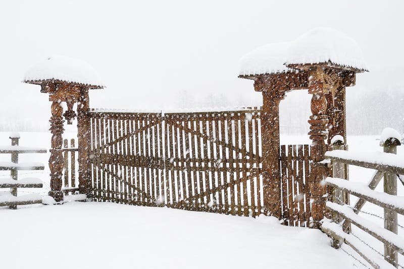 Het landschap van de winter stock fotografie