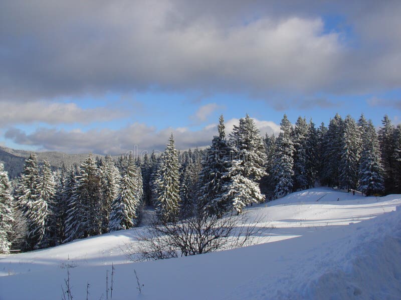 Het Landschap van de winter stock afbeeldingen Het Landschap van de winter stock afbeeldingen