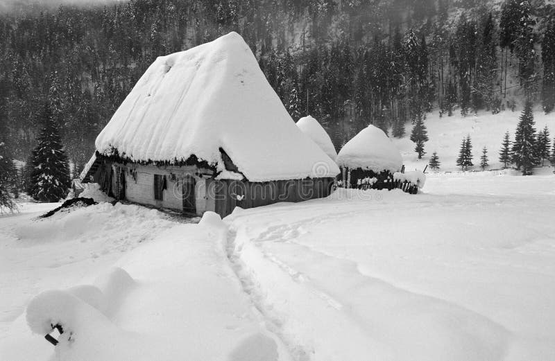 Winterlandschap stock foto