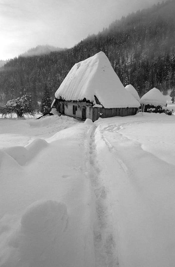 Winterlandschap stock afbeeldingen