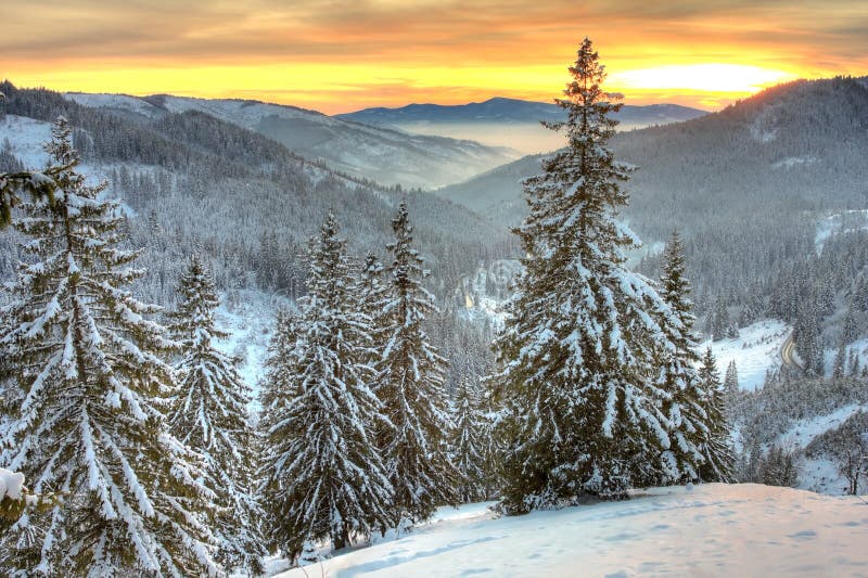 Winterlandschap stock foto