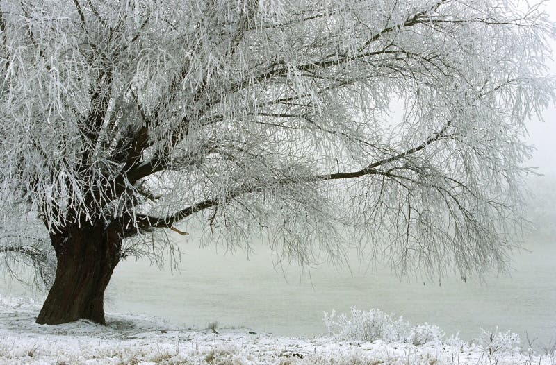 Winterlandschap stock afbeeldingen