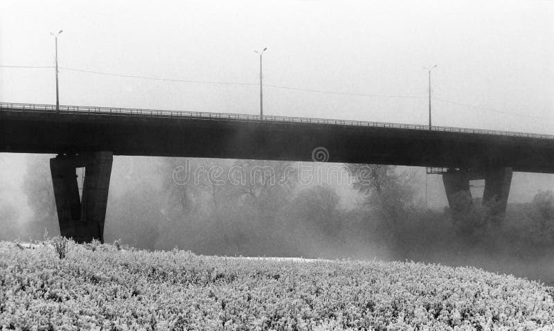 Winterlandschap royalty-vrije stock foto