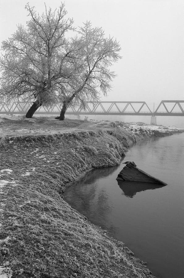 Winterlandschap stock foto's
