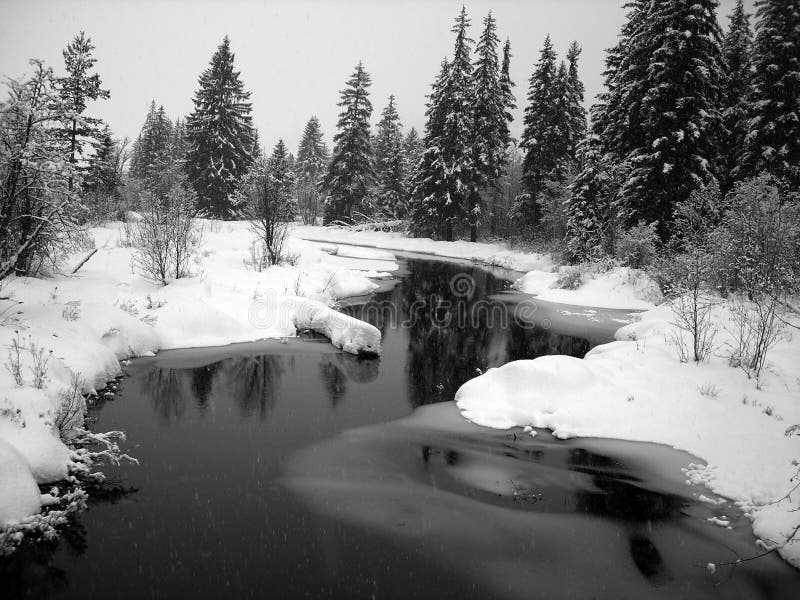 Het landschap van de winter met een rivier en pijnboombomen