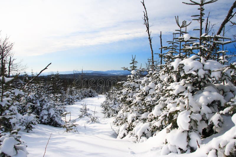 Het landschap van de winter, Quebec, Canada stock foto's Het landschap van de winter, Quebec, Canada stock foto's