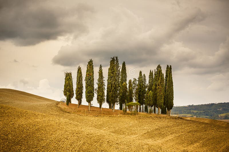Het landschap van Toscanië royalty-vrije stock afbeeldingen Het landschap van Toscanië royalty-vrije stock afbeeldingen