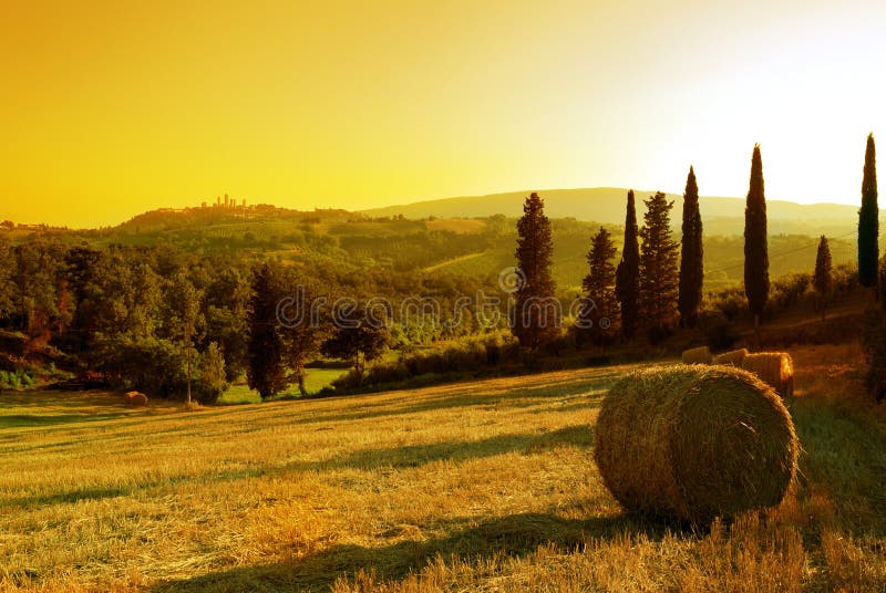 Het landschap van Toscanië van de zonsondergang stock fotografie Het landschap van Toscanië van de zonsondergang stock fotografie