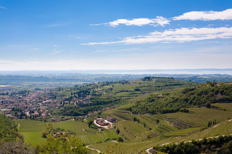 Valpolicella hills landscape with Garda lake in background. Italian viticulture area, Italy, gargagnago, san, giorgio, di, santambrogio, valley, agriculture, blue, country, countryside, farming, farmland, grape, green, harvest, panorama, plant, rural, sky, spring, summer, town, travel, verona, view, vine, vineyard, vineyards, winegrowing, winemaking, winery. Valpolicella hills landscape with Garda lake in background. Italian viticulture area, Italy, gargagnago, san, giorgio, di, santambrogio, valley, agriculture, blue, country, countryside, farming, farmland, grape, green, harvest, panorama, plant, rural, sky, spring, summer, town, travel, verona, view, vine, vineyard, vineyards, winegrowing, winemaking, winery