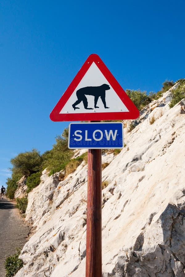 Het langzame teken op Gibraltar, Aap voorziet van wegwijzers stock foto Het langzame teken op Gibraltar, Aap voorziet van wegwijzers stock foto