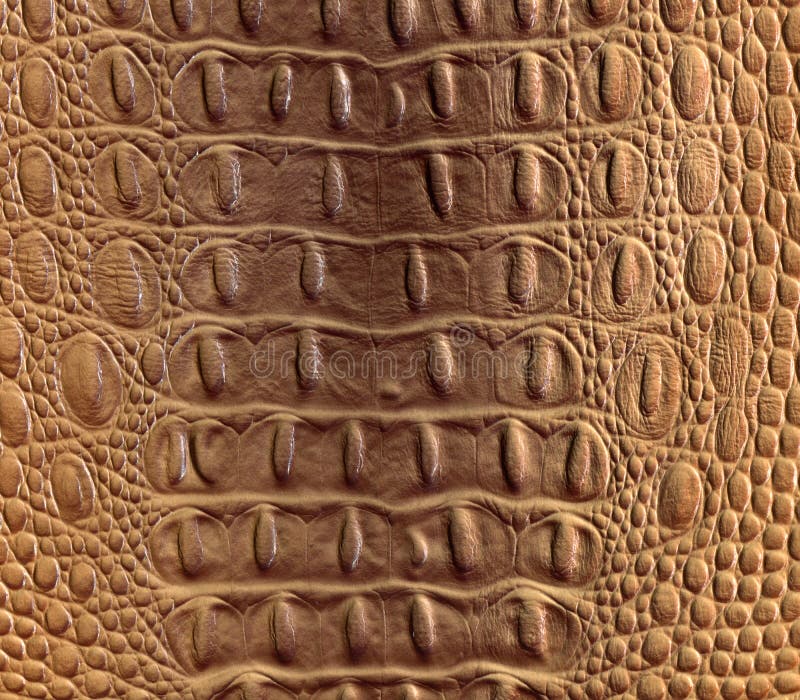 Crocodile leather good for background. Crocodile leather good for background