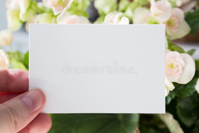 Het lege witte malplaatje van de bezoekkaart in vrouwen` s hand met bloemen op achtergrond Model stock afbeelding Het lege witte malplaatje van de bezoekkaart in vrouwen` s hand met bloemen op achtergrond Model stock afbeelding