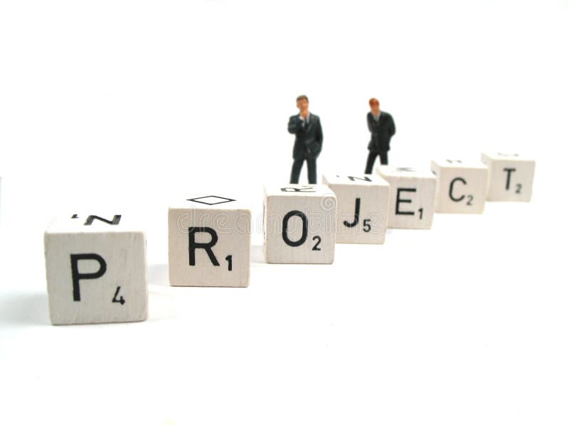 Het leiden van een project Het leiden van een project