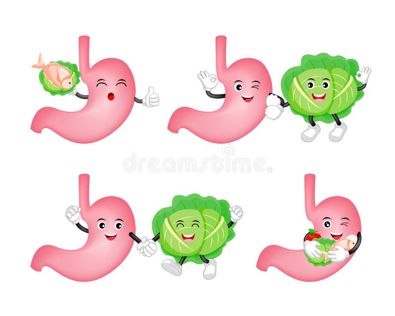 Schattig cartoon maagpersonage met kool royalty-vrije illustratie
