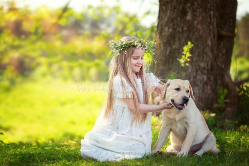 Het leuke meisje koestert een grote hond in de zomerpark stock foto Het leuke meisje koestert een grote hond in de zomerpark stock foto
