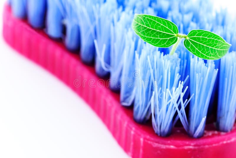 Scrubbing brush isolated on white. Scrubbing brush isolated on white.