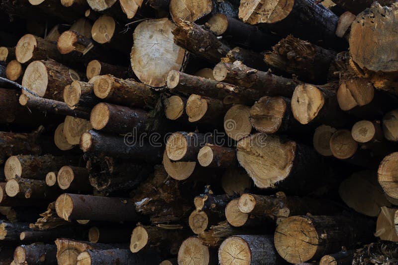Het logboekhuis, logboeken sluit omhoog, de zaagmolen stock fotografie Het logboekhuis, logboeken sluit omhoog, de zaagmolen stock fotografie