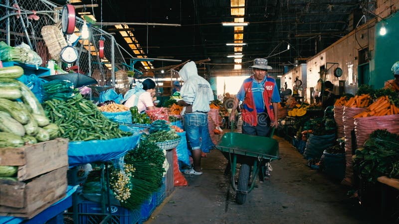het lokale landbouwers verkopen hun opbrengst de stadsmarkt met een mens met een kruiwagen stock afbeelding het lokale landbouwers verkopen hun opbrengst de stadsmarkt met een mens met een kruiwagen stock afbeelding