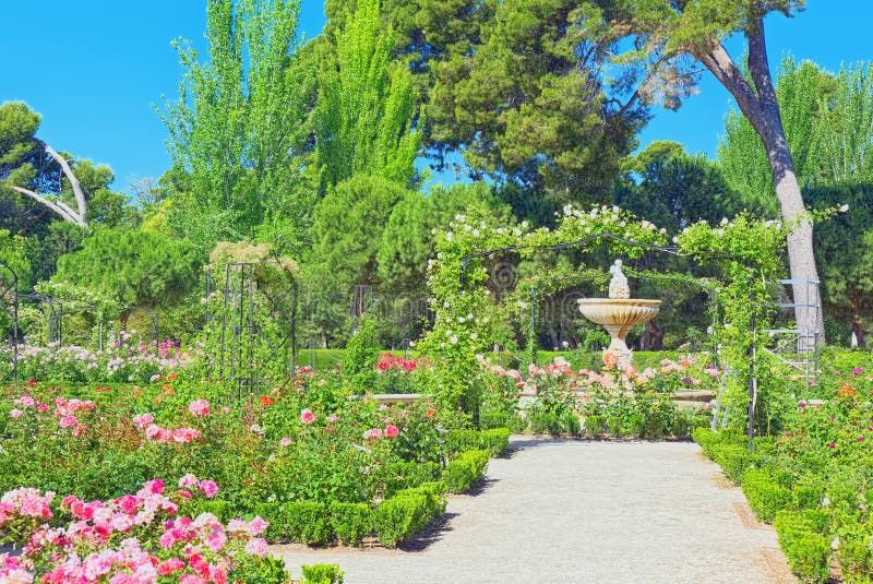 Wandelen door het Parque del Retiro. Rozentuin stock afbeelding