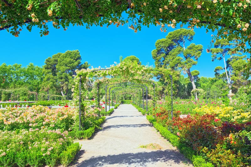 Wandelen door het Parque del Retiro. Rozentuin royalty-vrije stock fotografie
