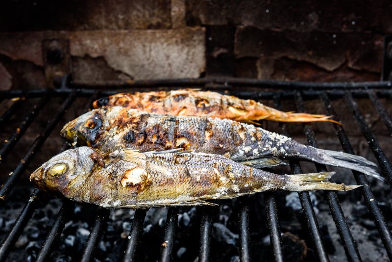 Het maken van vissen op een bbq barbecuegrill over hete steenkool royalty-vrije stock foto's Het maken van vissen op een bbq barbecuegrill over hete steenkool royalty-vrije stock foto's
