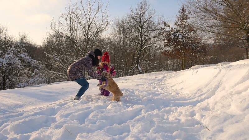 Het mamma en weinig dochter spelen met een hond