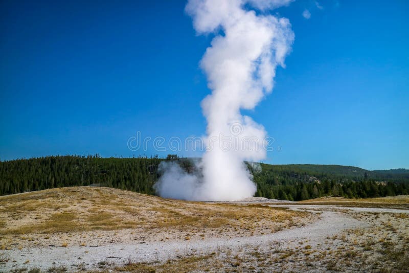 Het Mammoet Hete de Lentesgebied in het Nationale Park van Yellowstone, Wyoming stock foto's Het Mammoet Hete de Lentesgebied in het Nationale Park van Yellowstone, Wyoming stock foto's