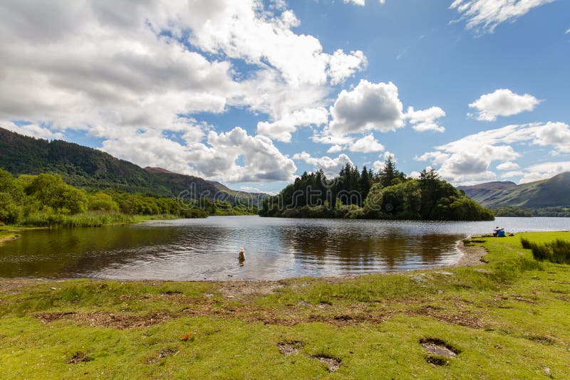 Het Meer van het Derwntwater met zwemmende hond, Keswick, Cumbria, het UK royalty-vrije stock foto's Het Meer van het Derwntwater met zwemmende hond, Keswick, Cumbria, het UK royalty-vrije stock foto's