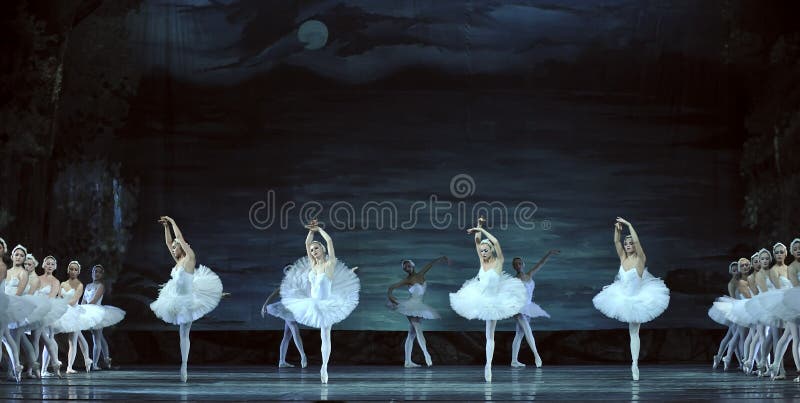Het meerballet van de zwaan stock foto's Het meerballet van de zwaan stock foto's