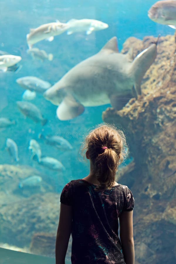 Het meisje bekijkt exotische vissen in het Aquarium royalty-vrije stock foto Het meisje bekijkt exotische vissen in het Aquarium royalty-vrije stock foto