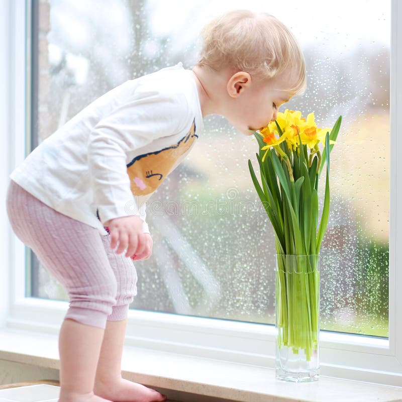 Het meisje ruikt narcissenbloemen stock afbeeldingen Het meisje ruikt narcissenbloemen stock afbeeldingen