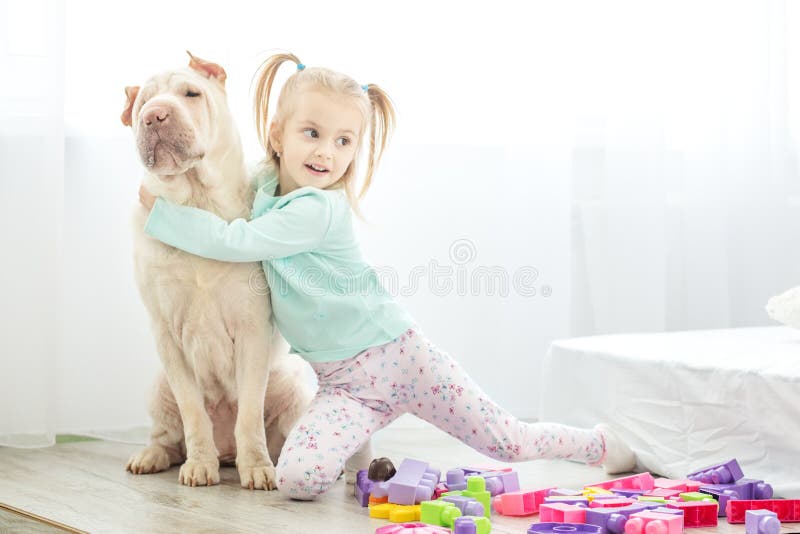 Het meisje speelt met een hond in de ruimte Het concept Li royalty-vrije stock afbeelding Het meisje speelt met een hond in de ruimte Het concept Li royalty-vrije stock afbeelding