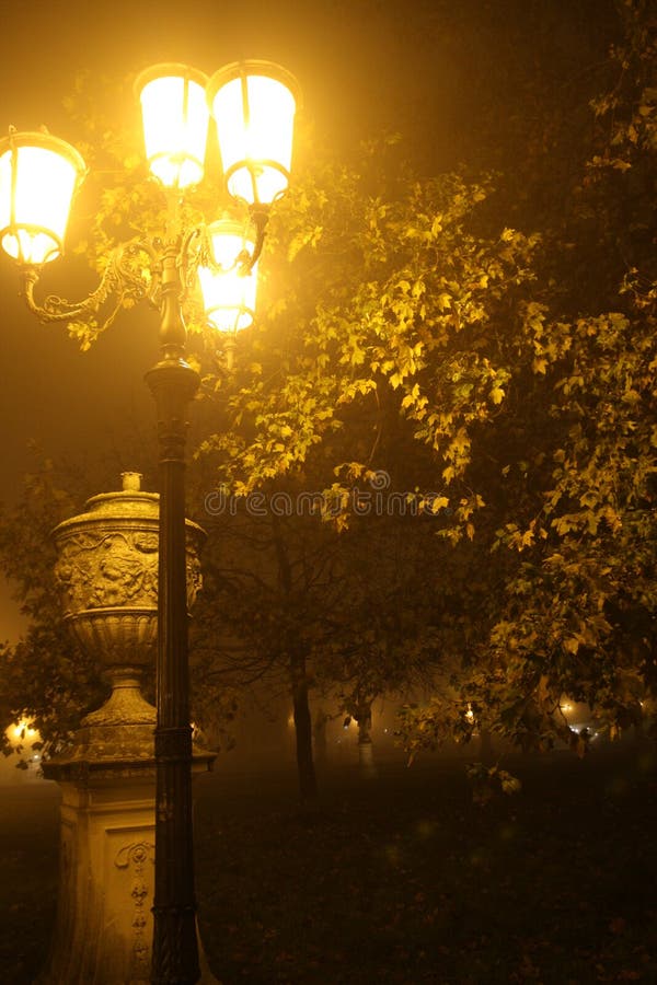 The lamp in night foggy park. The lamp in night foggy park