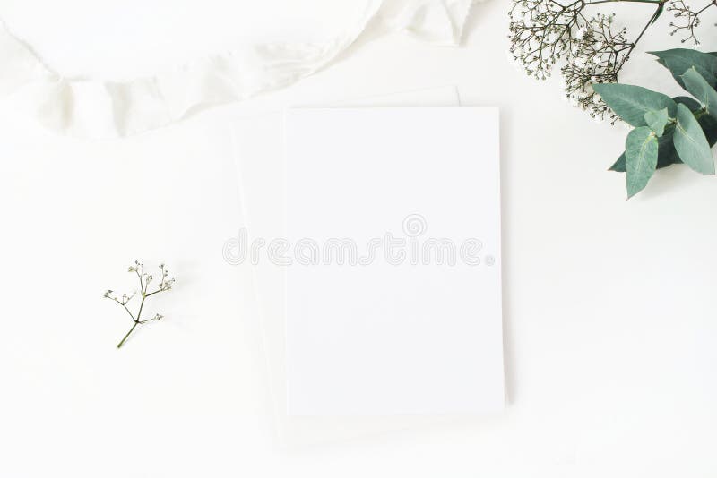 Het model van de de Desktopkantoorbehoeften van het de winterhuwelijk De lege groetkaart, baby` s adem Gypsophila bloeit, eucalyp stock fotografie Het model van de de Desktopkantoorbehoeften van het de winterhuwelijk De lege groetkaart, baby` s adem Gypsophila bloeit, eucalyp stock fotografie