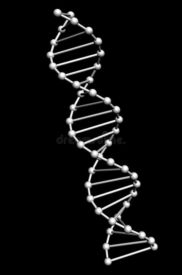 Het model van DNA vector illustratie Het model van DNA vector illustratie