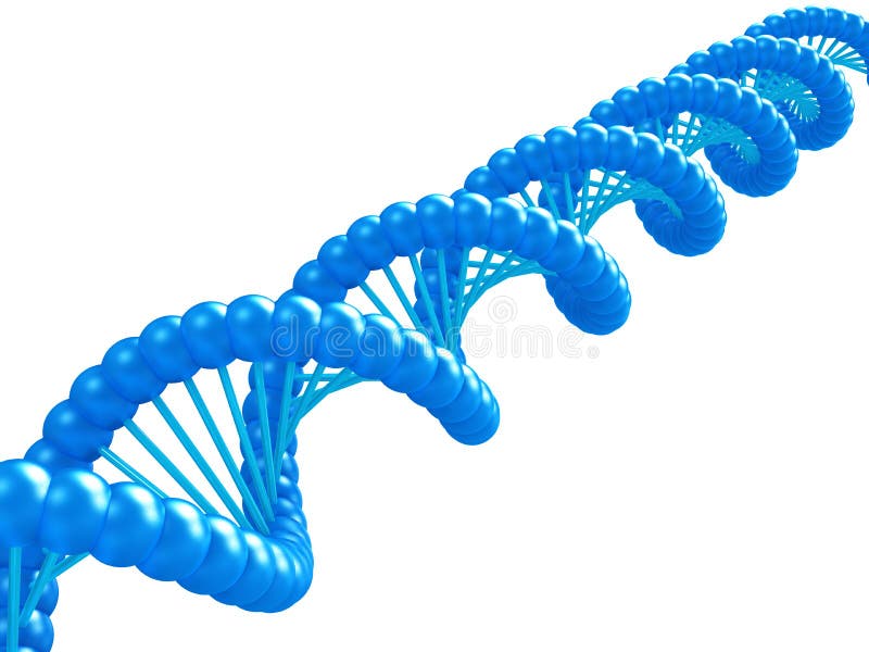 Het model van DNA. stock illustratie Het model van DNA. stock illustratie